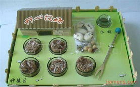 攜手義烏市臺典工藝品廠，共創工藝品加盟新輝煌